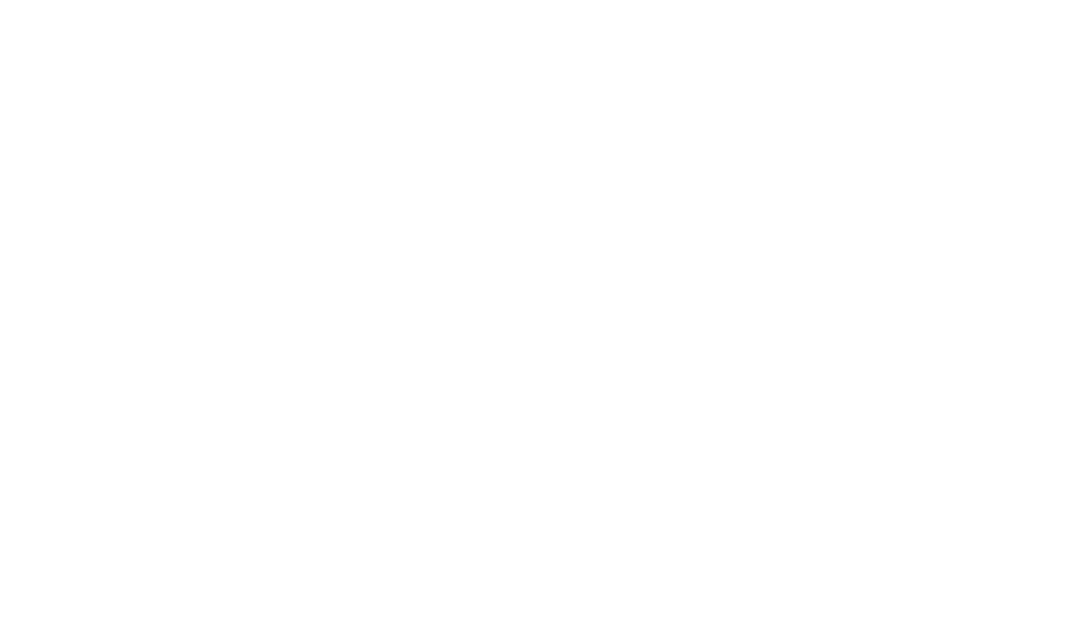 SDEM50